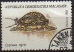 Sellos del Mundo : Africa : Madagascar : MADAGASCAR 1992 Michel 1422 Sello Moluscos Cypraea tigris MALAGASY 500A