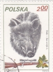 Stamps : Europe : Poland :  CACERÍA DEL JABALÍ