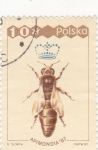 Stamps Poland -  abeja reina