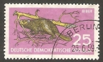 Stamps Germany -  406 - Castor