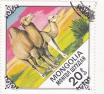 Sellos de Asia - Mongolia -  camellos