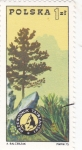 Stamps Poland -  arbol