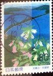 Stamps Japan -  Scott#Z336 intercambio, 0,75 usd 80 y. 1999