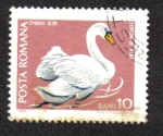 Stamps Romania -  Fauna de Conservaciones Silvestres