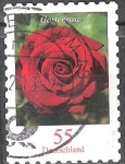 Stamps Germany -  Flores - Rosa de Jardín.