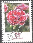 Sellos de Europa - Alemania -  Flores - clavel precioso (Dianthus caryophyllus).