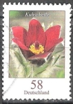 Stamps Germany -  Flores - Pasque(Kuhschelle).