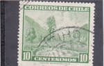 Stamps Chile -  valle del río Maule