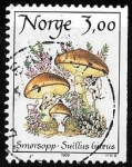 Stamps Norway -  Noruega-cambio