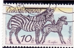 Sellos de Europa - Checoslovaquia -  cebras
