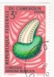 Stamps Cameroon -  fruta tropical
