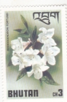 Stamps Bhutan -  flores