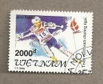 Stamps Vietnam -  Juegos olímpicos invierno