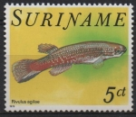 Stamps America - Suriname -  PECES.  RIVULUS  AGILAE.