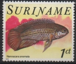 Stamps America - Suriname -  PECES.  NANNACARA  ANOMALA.