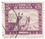 Stamps Bolivia -  Fauna Boliviana
