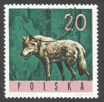 Stamps Poland -  POLONIA - Intercambio