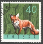 Stamps Poland -  POLONIA - Intercambio