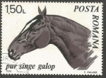 Sellos de Europa - Rumania -  Thoroughbred Horse (Equus ferus caballus)