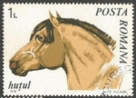 Stamps Romania -  Huzule Horse (Equus ferus caballus)
