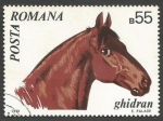 Stamps Romania -  Ghidran (Equus ferus caballus)