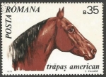 Sellos de Europa - Rumania -  American Trotter Horse (Equus ferus caballus)