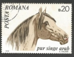 Stamps : Europe : Romania :  Arabian Horse (Equus ferus caballus)