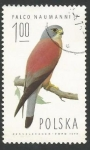 Stamps Poland -  Lesser Kestrel (Falco naumanni), Male