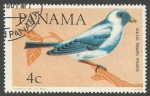 Sellos de America - Panam� -  Blue-grey Tanager (Thraupis episcopus) (1965)