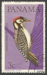 Stamps Panama -  Black-cheeked Woodpecker (Melanerpes pucherani) (1965)