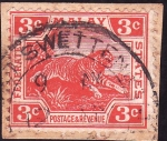 Stamps Asia - Malaysia -  TIGRE DE MALASIA