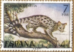 Stamps Spain -  GINETA - Fauna Hispanica