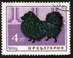 Sellos del Mundo : Europa : Bulgaria : Spitz (Canis lupus familiaris) (1964)