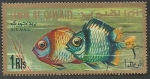 Stamps United Arab Emirates -  Umm Al Qiwain - Dascyllus reticulatus juv. (1967)
