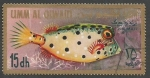 Stamps United Arab Emirates -  Umm Al Qiwain - Ostracion tuberculatus (1967)