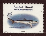 Stamps Morocco -  Perionace glauca