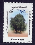 Stamps Morocco -  Arboles Mediterraneos