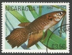 Stamps Nicaragua -  Pterolebias longipinnis (1981)