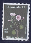 Stamps Morocco -  Malva hispanica