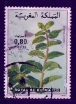 Stamps Morocco -  Mentha veridis