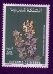 Stamps Morocco -  Phlomis crenita maurotanica
