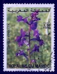 Stamps Morocco -  Linaria bipartita
