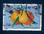 Sellos de Africa - Marruecos -  Melocoton de Marruecos