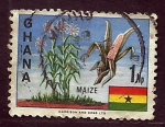 Sellos de Africa - Ghana -  Maiz