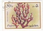 Stamps United Arab Emirates -  CORAL