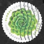 Stamps United States -  Rosetón