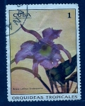 Stamps : America : Cuba :  Orquidea tropical