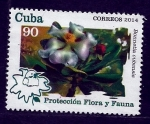 Stamps Cuba -  Bonnetia cubensis