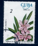 Sellos de America - Cuba -  Nenum oleander