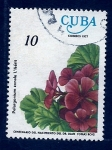 Stamps Cuba -  Palargonium zonale